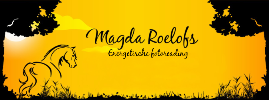 magda-slide-5.png