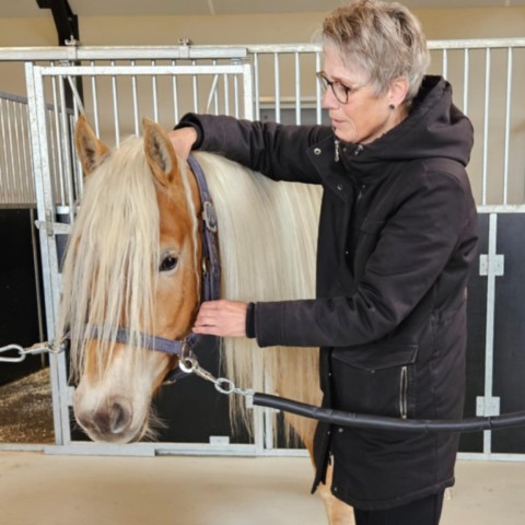 Magda Roelofs Horse Release & Balance Magda Roelofs Horse Release & Balance