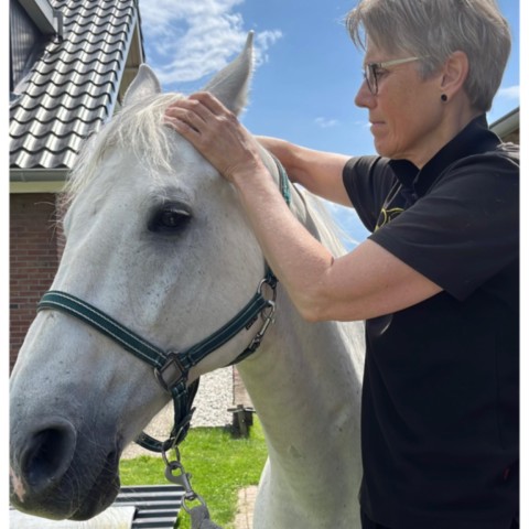 Magda Roelofs Horse Release & Balance