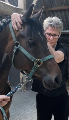 Magda Roelofs Horse Release & Balance