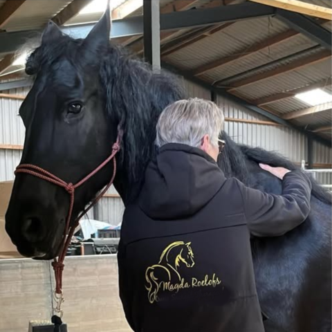 Magda Roelofs Horse Release & Balance Magda Roelofs Horse Release & Balance