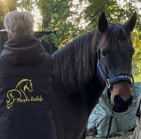 Magda Roelofs Horse Release & Balance