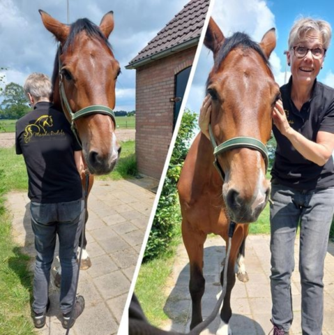 Magda Roelofs Horse Release & Balance