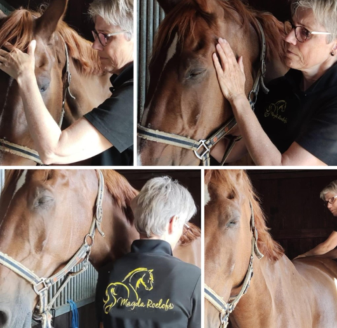 Magda Roelofs Horse Release & Balance